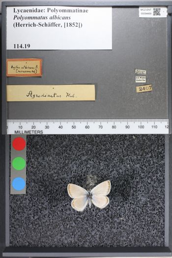 Media type: image;   Entomology 54459